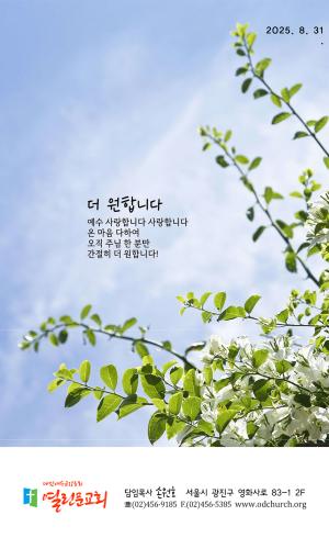 2025년 8월 31일 주보